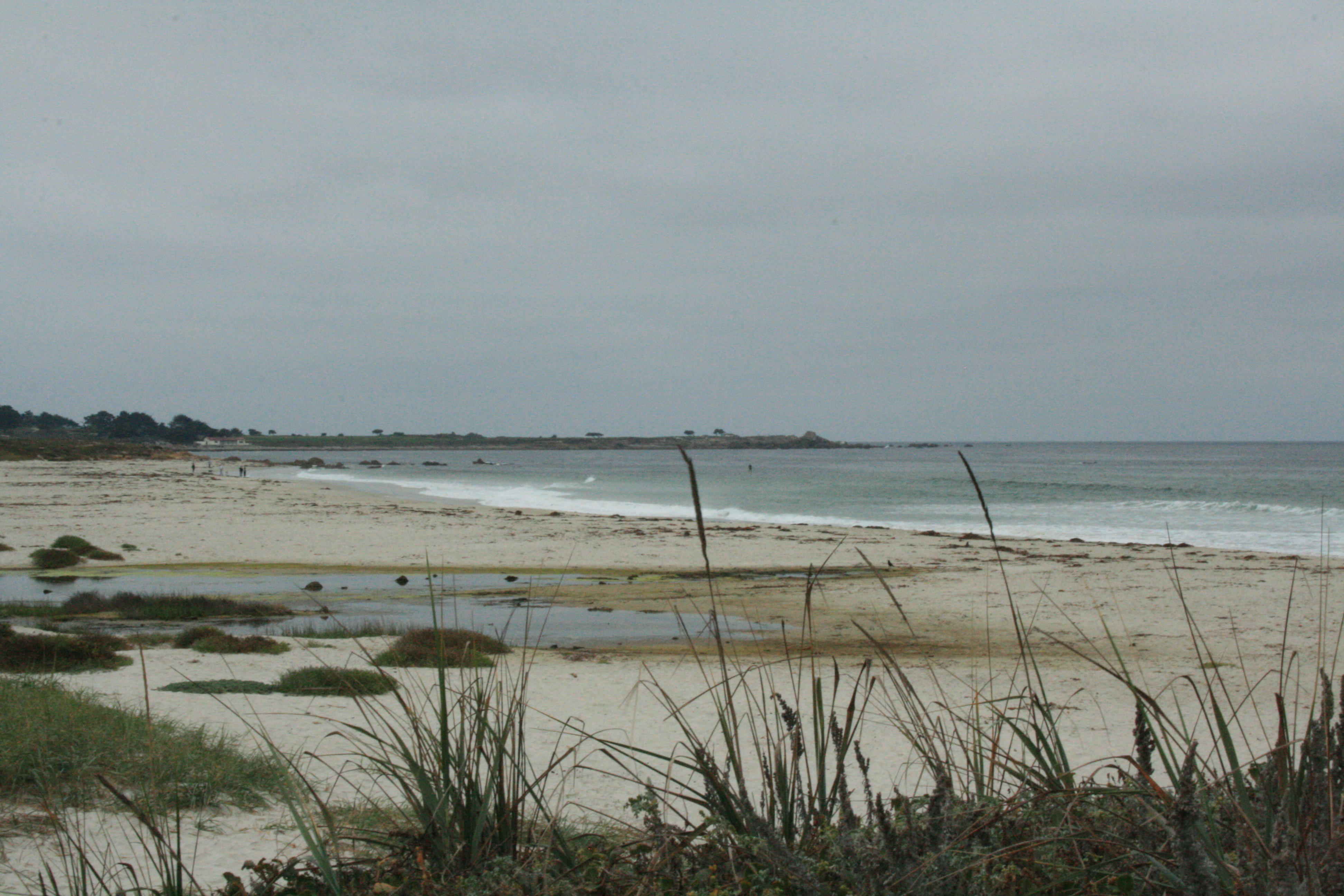 Pacific Grove Beach