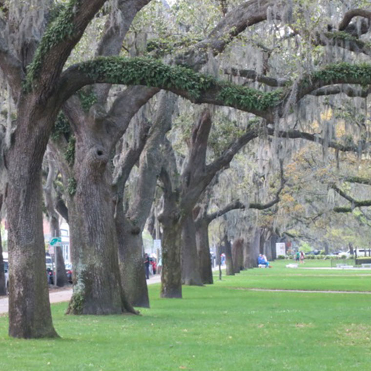 Savannah: America’s First Planned City