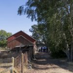 California Wine Museum, TLCD Architecture, Jim McCormick, Museum on the Square