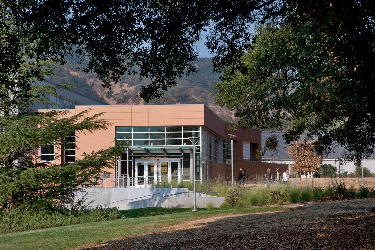View of Library and Learning Resource Center through a canopy of oak trees