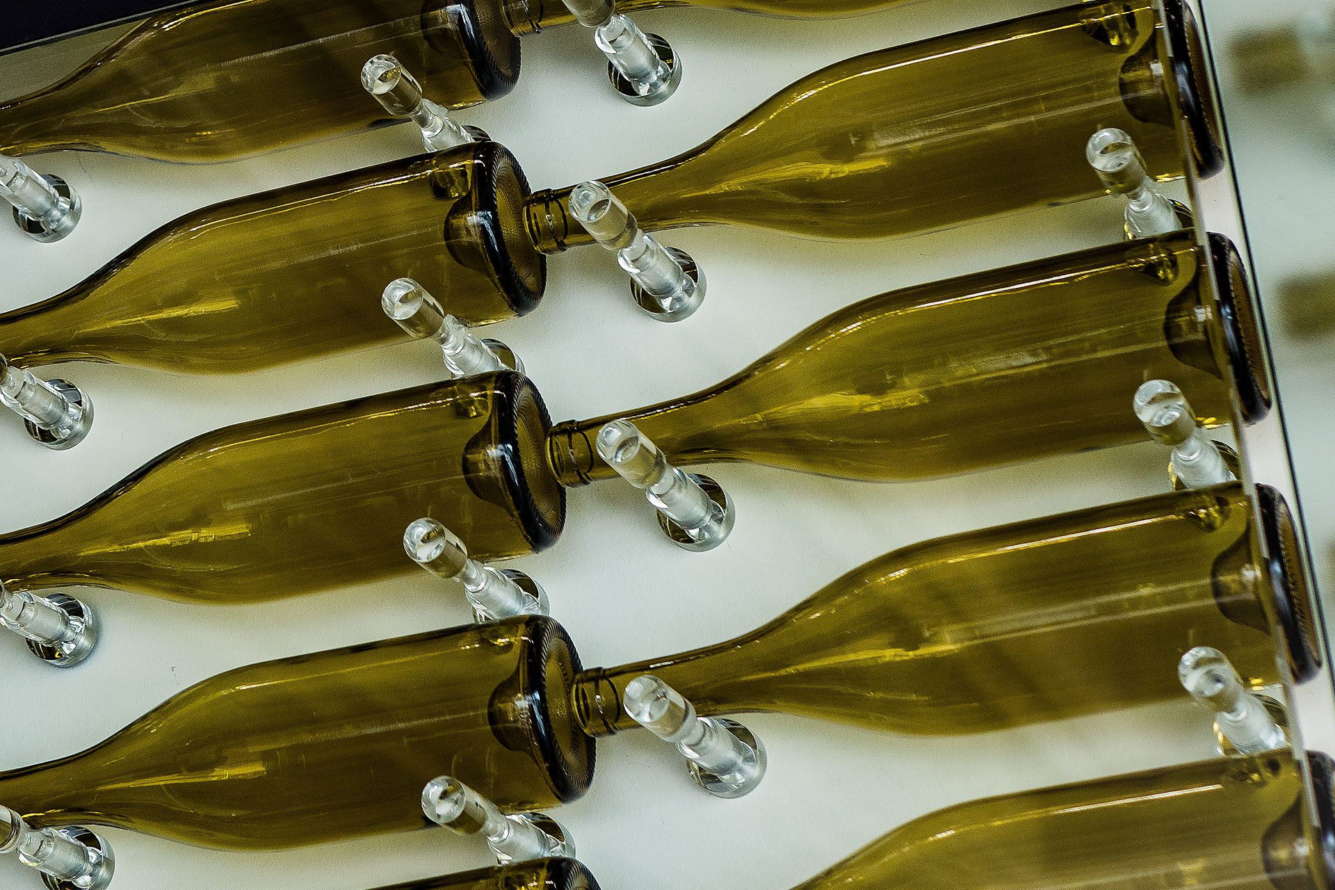 Close-up of Wine bottle Wall at Wine Spectator Learning Center Sonoma State University