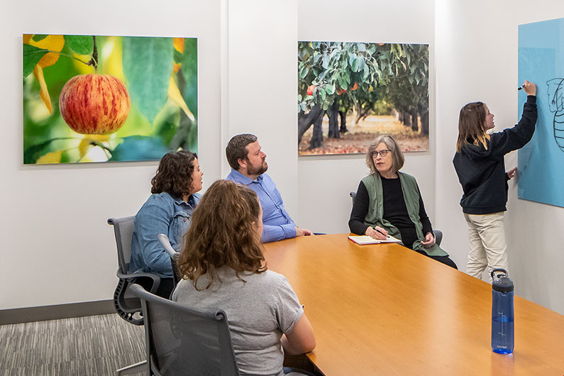 Kaiser Permanente Petaluma Behavioral Health Center, Family Therapy Observation Room