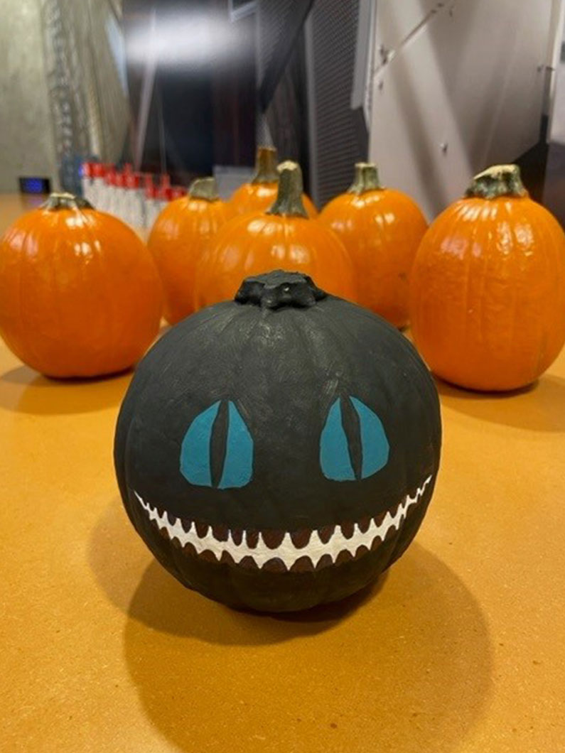 black painted pumpkin with orange pumpkins in background