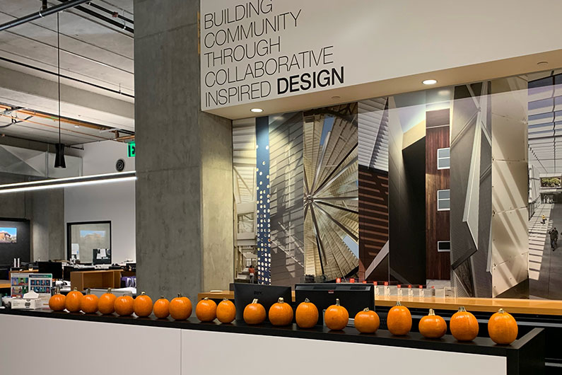 Orange pumpkins lined up on counter at TLCD office