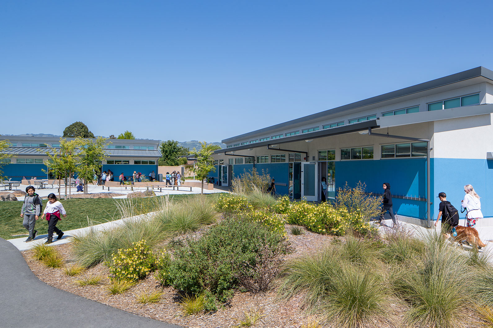 K-12 education architecture, new classroom building. Central courtyard at Loma Vista Immersion Academy in Petaluma, CA