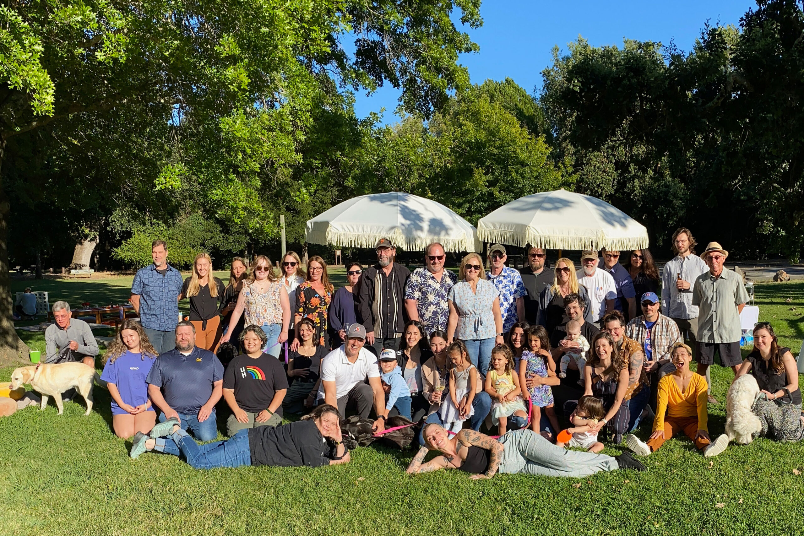 TLCD team at annual company picnic at Doyle Park in Santa Rosa