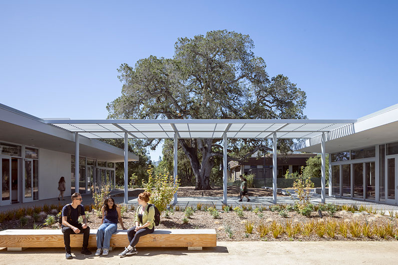 Students talking outside on bench with oak tree in background and covered walkway