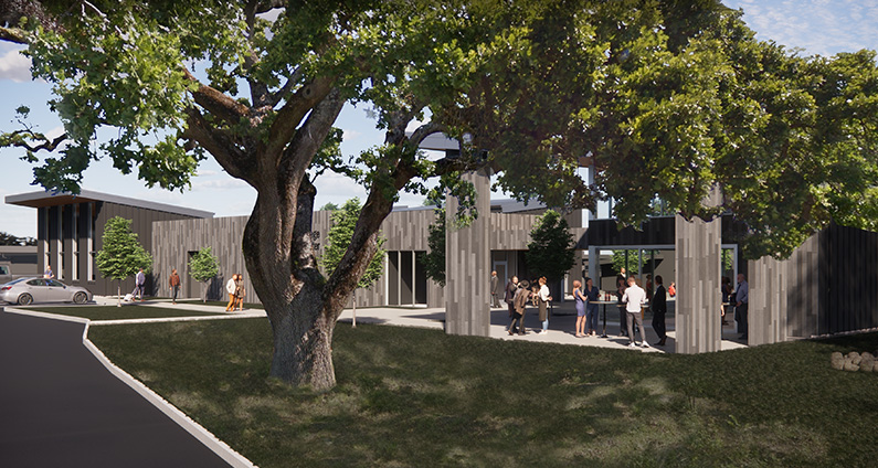 TLCD rendering shows large oak tree adjacent to phase one and phase two buildings at the Wine Education Center