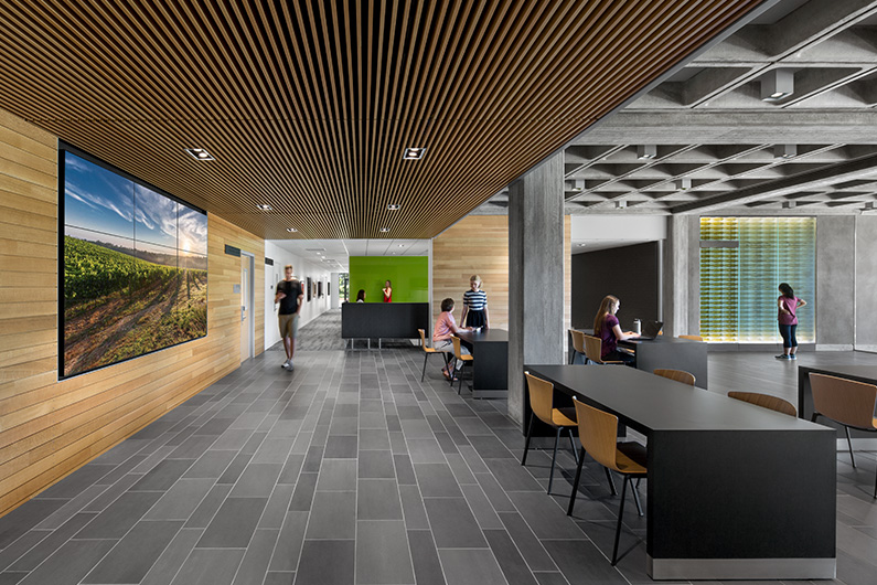 Interior photo of Wine Spectator Learning Center shows high end furniture and fixtures and students seated in informal spaces