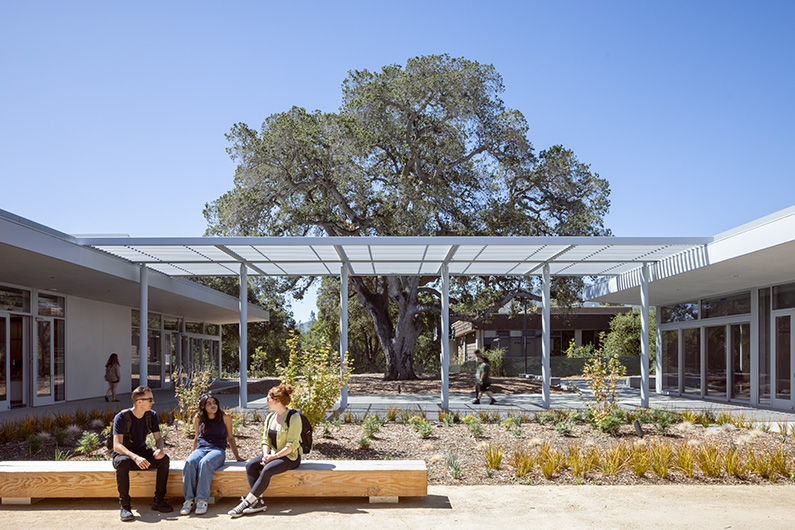 Outdoor courtyard with students gathered on bench and large oak tree in background